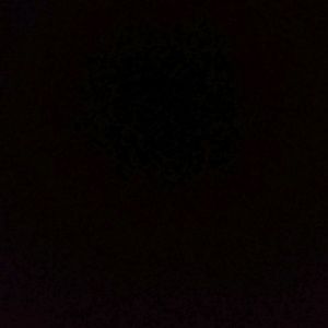 Meet your Posher, Zoe